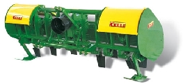 CELLI